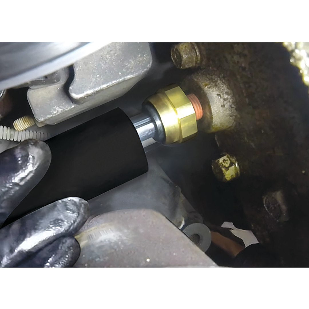 Product of Performance Tool W80590 Socket Standard 