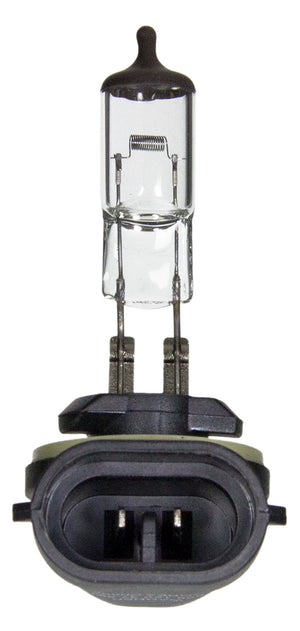 Wagner Lighting Bp898 Driving/ Fog Light Bulb||bp898_P01_Con.Jpg||93||w31bp898||1341694