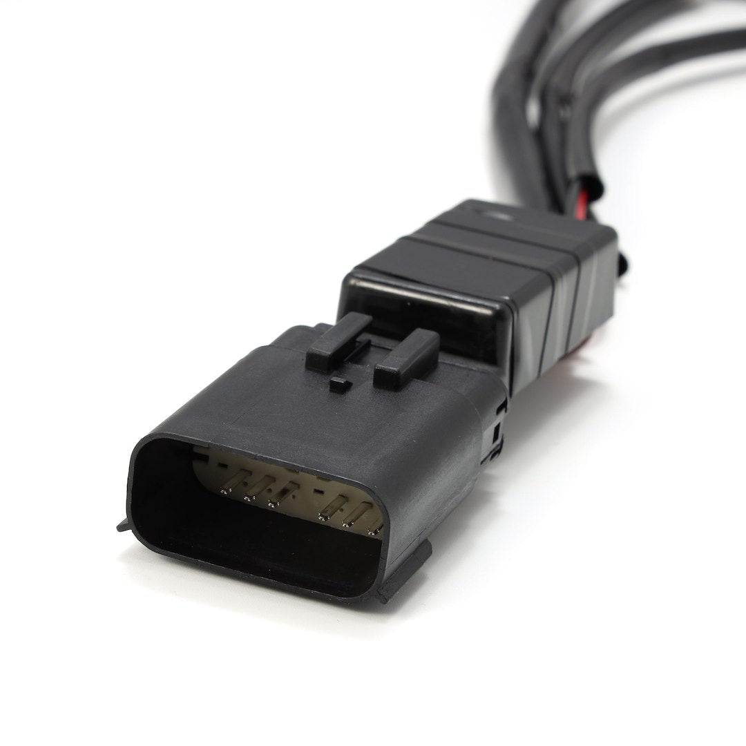 Alpharex Usa 810006 Headlight Wiring Harness||810006_7.Jpg||92||alp810006||1467991