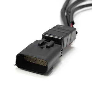 Alpharex Usa 810006 Headlight Wiring Harness||810006_7.Jpg||92||alp810006||1467991