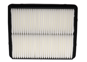 Pro-Tec By Wix Pxa49250 Air Filter||pxa49250_1.Png||86||w68pxa49250||2065985