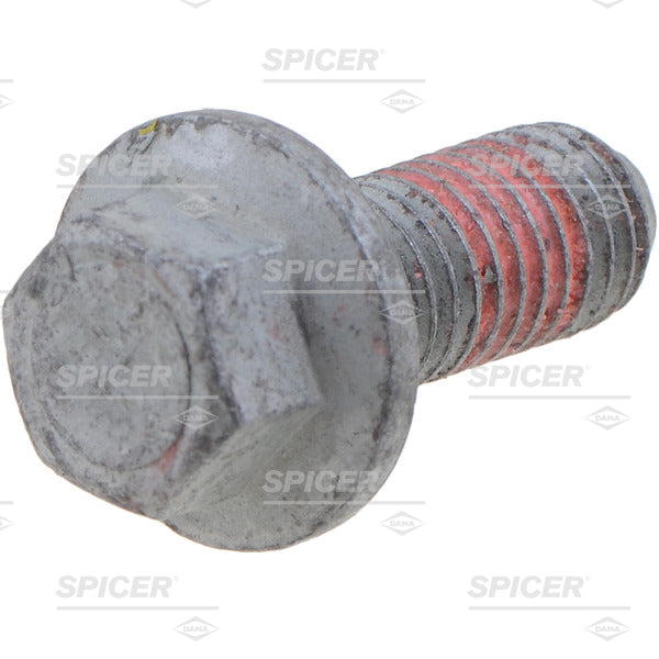 Dana/ Spicer 10050881 Differential Cover Bolt||10050881.Jpg||85||dsp10050881||1290819
