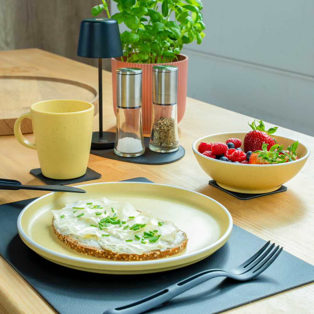 Silwy Magnetic Sybr-Kgs-11-Y Dish Set||sybr-Kgs-11-Y_3.Jpg||88||swyybrkgs11y||1745481