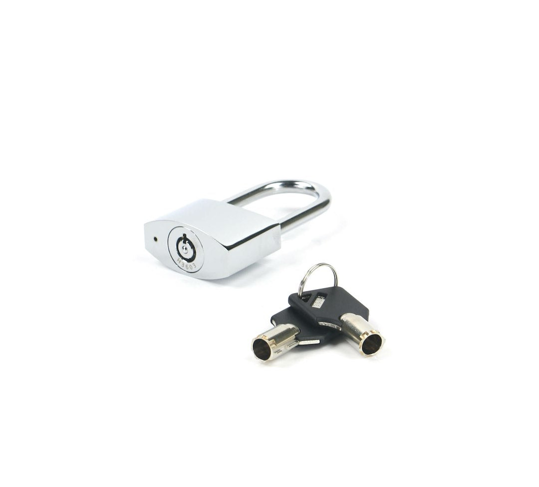 Product of Weigh Safe Ws12 Trailer Coupler Lock