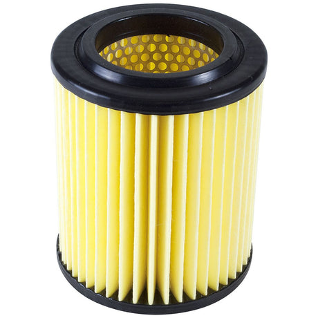 Denso 143-3175 Air Filter||143-3175.Jpg||85||d451433175||1686845