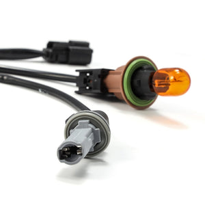 Alpharex Usa 810006 Headlight Wiring Harness||810006_6.Jpg||91||alp810006||1467990