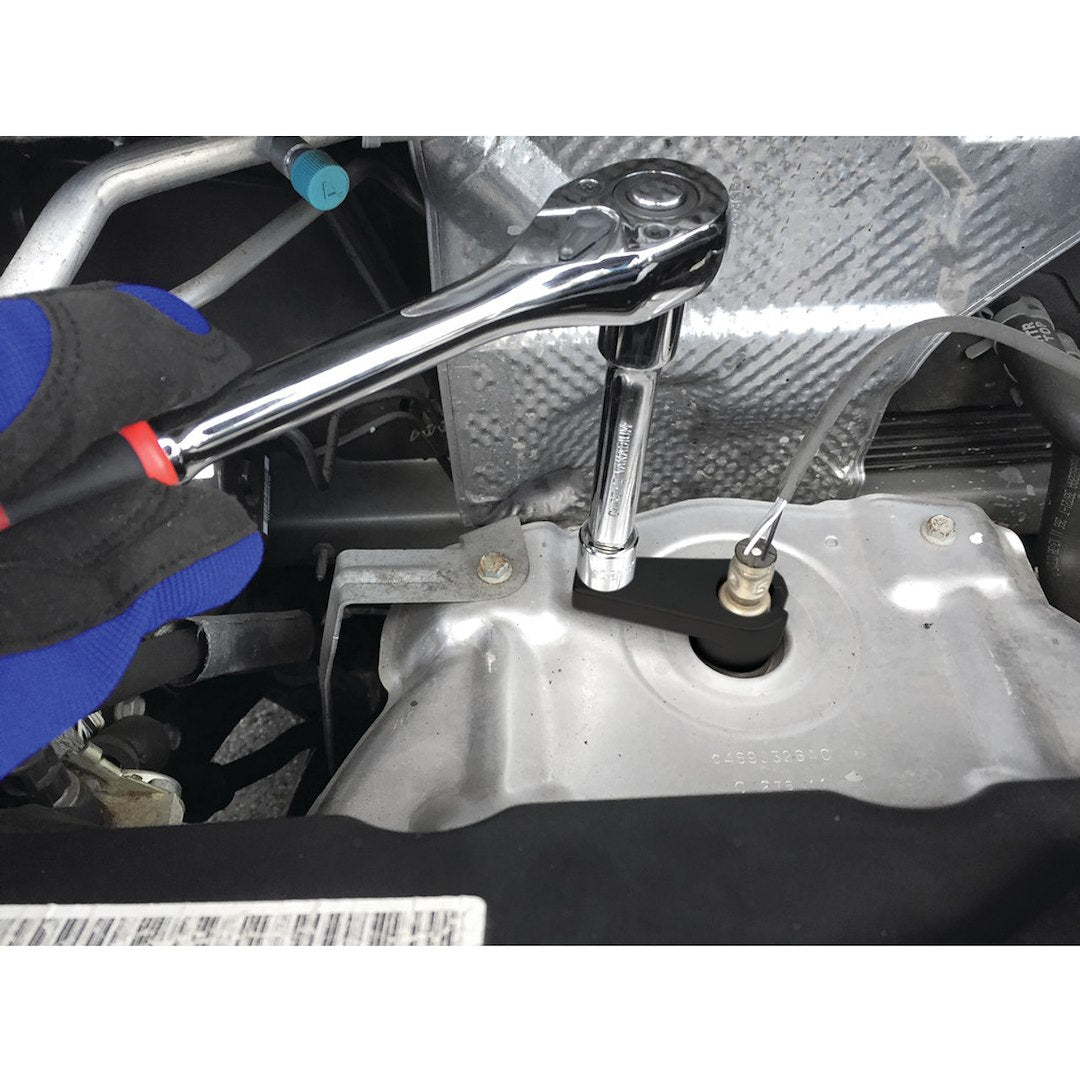 Product of Performance Tool W84008 Socket Standard 