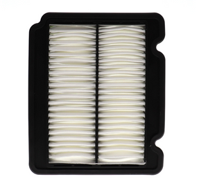 Product of Wix Filters 42831 OEM Disposable Air Filter 