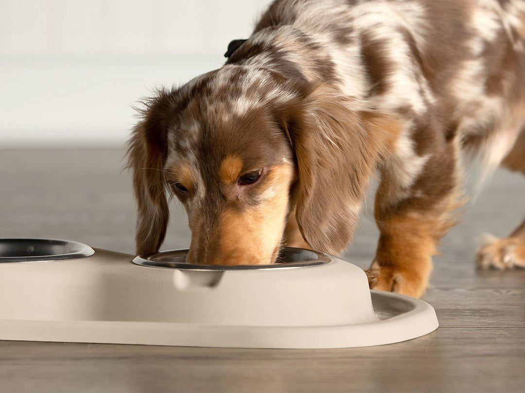 Product of Weathertech (Usa) Dl0801tn Pet Dish