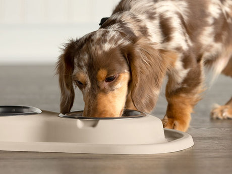 Product of Weathertech (Usa) Dl0801tn Pet Dish