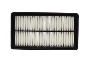 Product of Wix Filters WA11091 OEM Disposable Air Filter 