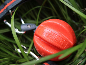 Dexas International Pwt011-2027 Pet Toy||pwt011-2027-Balllifestyle.Jpg||88||d7qpwt0112027||1050290