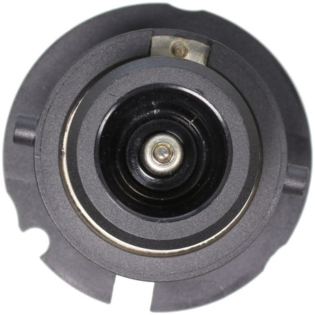 Wagner Lighting D2s Headlight Bulb||d2s_P01_Con.Jpg||93||w31d2s||1217531