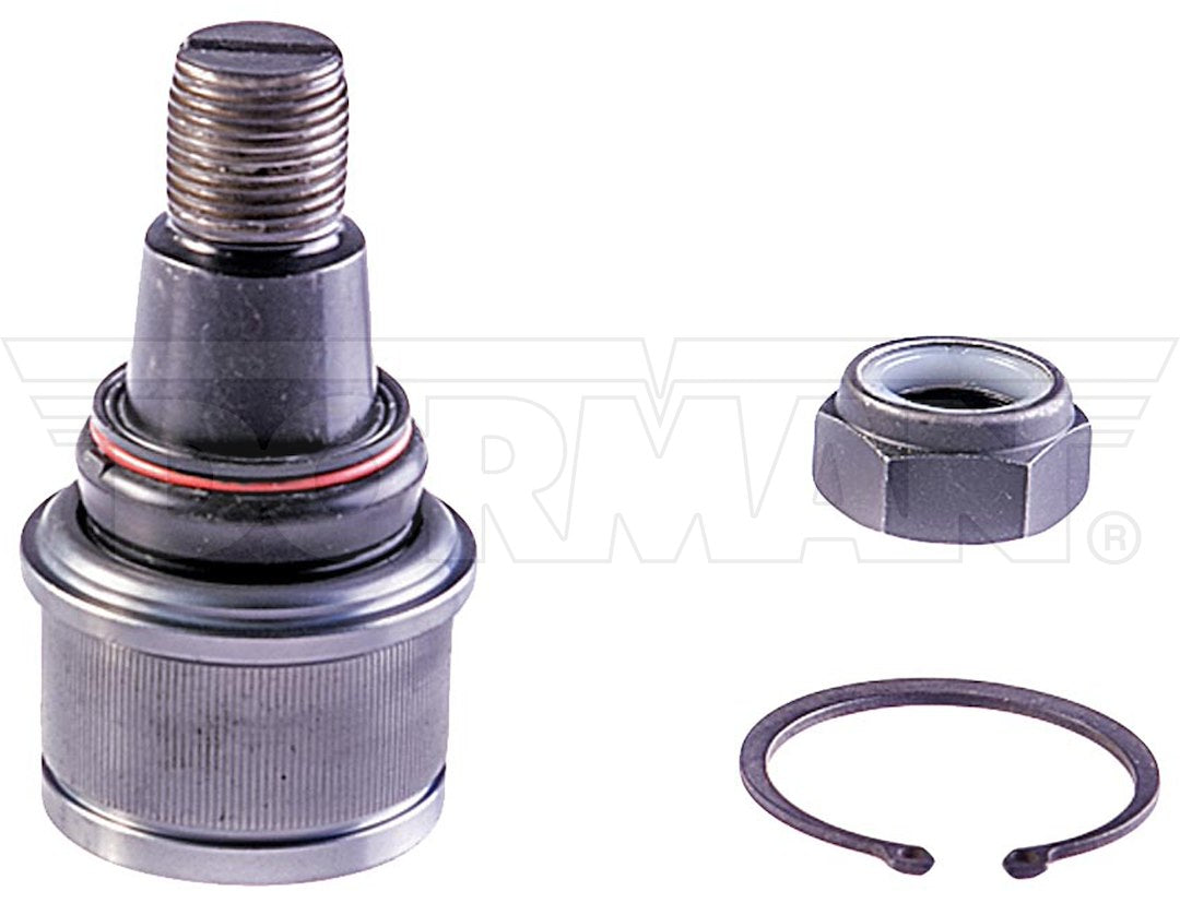 Dorman Mas Select Chassis Bj86315 Ball Joint||bj86315xl-007.Jpg||85||d18bj86315||1246847