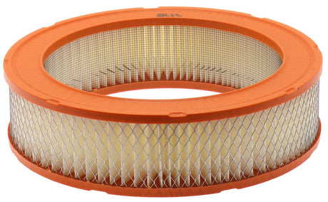 Product of Fram Filter CA176 EXTRA GUARD ® OEM Disposable Air Filter 