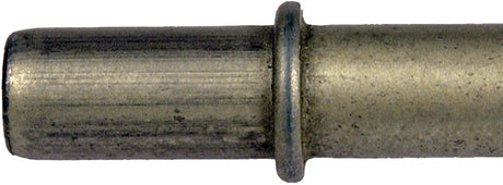 Dorman (Oe Solutions) 624-353 Auto Trans Oil Cooler Hose Assembly||624-353-005.Jpg||89||d18624353||2243261