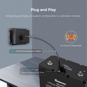 Renogy Rms-Lfps-G1-Us Battery Monitor||rms-Lfps-G1-Us_2.Jpg||87||ren9714323||2259482