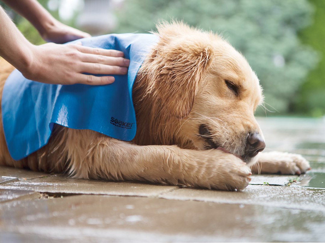 Weathertech (Usa) 8asoaker2 Drying Cloth||8asoaker2_3.Jpg||88||w248asoaker2||914389