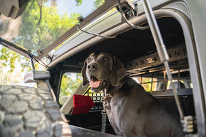 Product of Dv8 Offroad Mpbr-10 Pet Barrier
