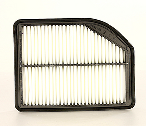 Product of Wix Filters 49630 OEM Disposable Air Filter 