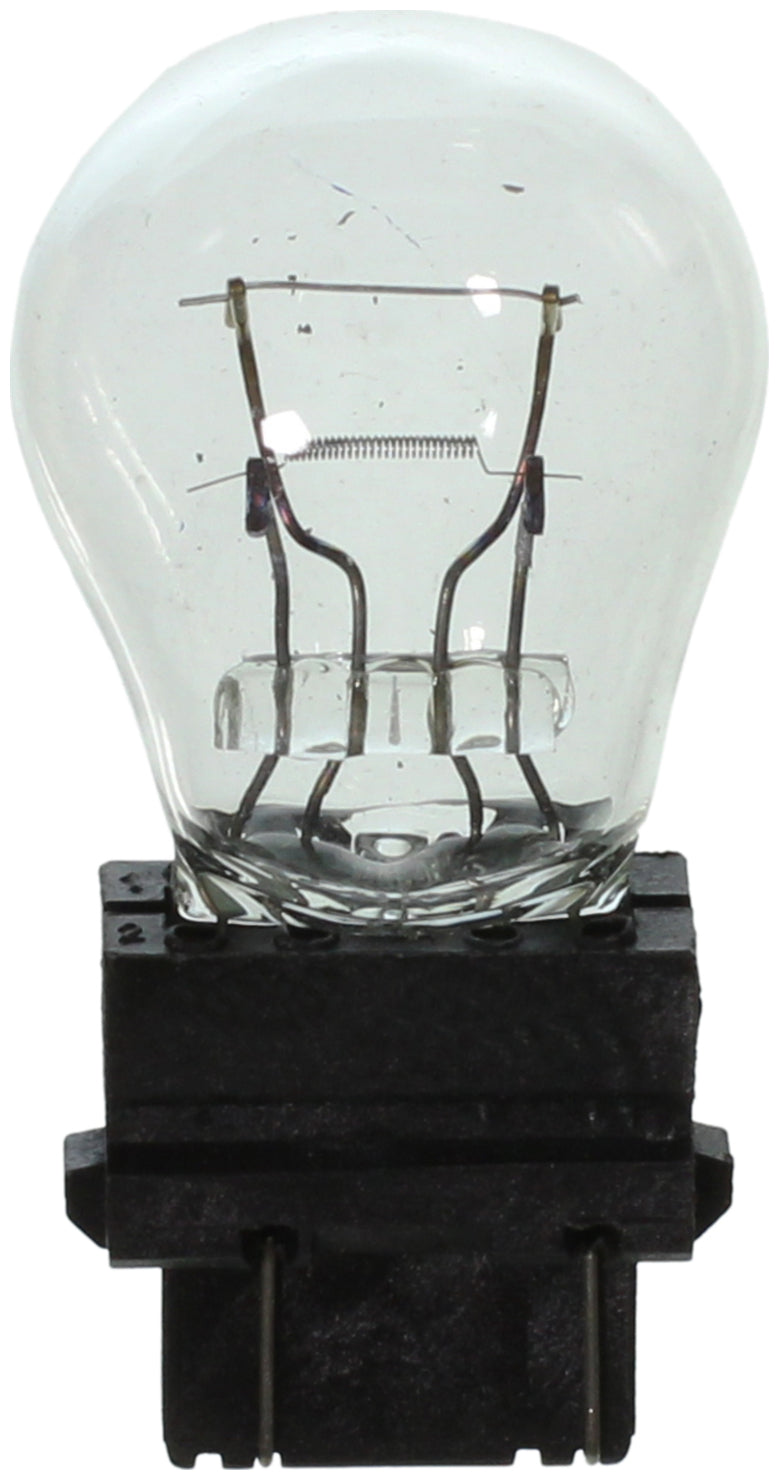 Wagner Lighting Bp3357 Turn Signal Light Bulb||bp3357_P04_Top.Jpg||85||w31bp3357||1245758