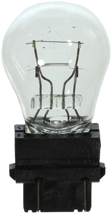 Wagner Lighting Bp3357 Turn Signal Light Bulb||bp3357_P04_Top.Jpg||85||w31bp3357||1245758