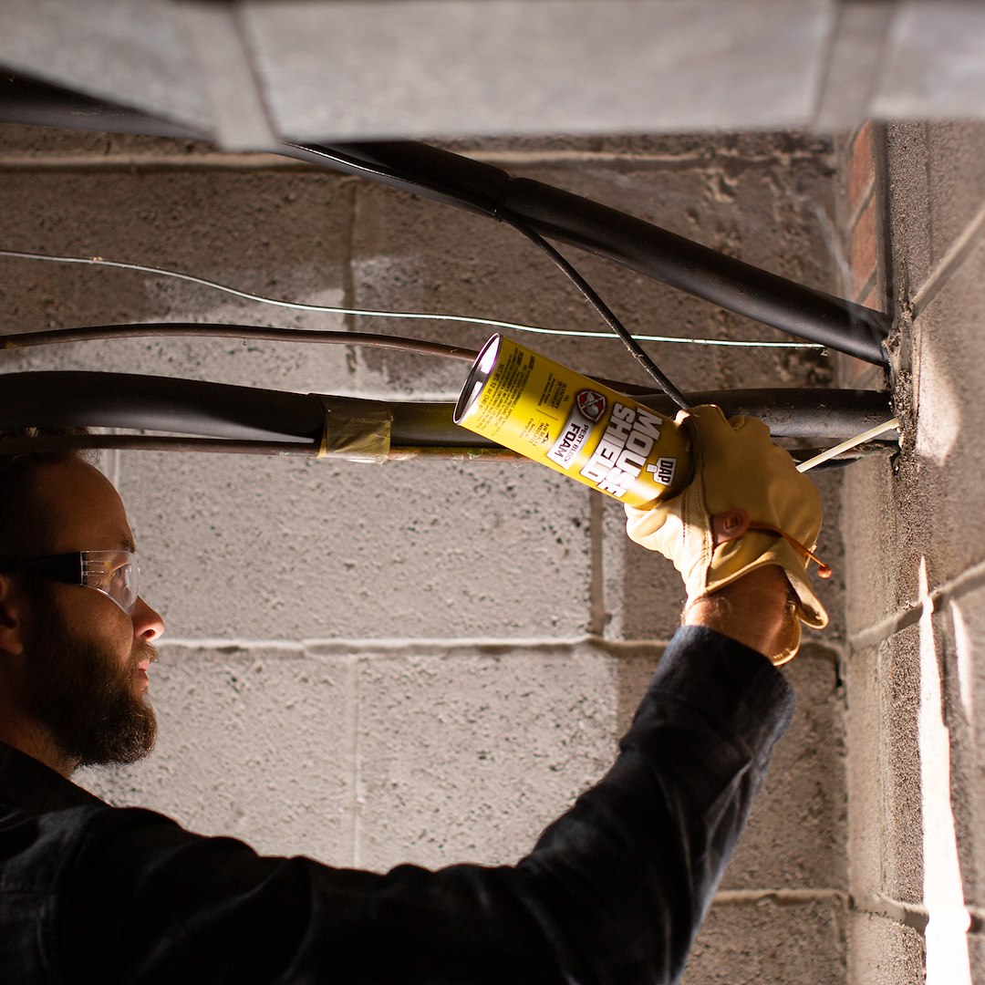 Product of Dap 75650 12506 Foam Sealant