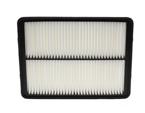 Product of Wix Filters 49670 OEM Disposable Air Filter 