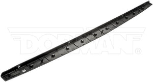 Dorman (Oe Solutions) 925-626 Tailgate Molding||925-626_1.Jpg||86||d18925626||880670