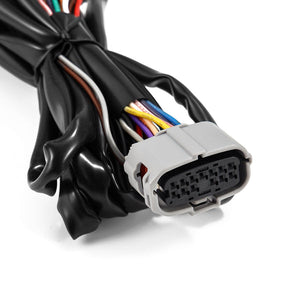 Alpharex Usa 810029 Headlight Wiring Harness||810029_1.Jpg||86||alp810029||1743422