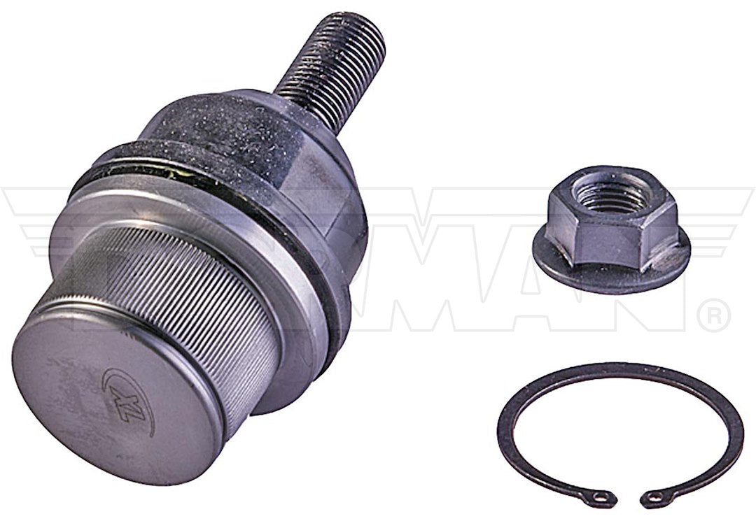 Dorman Chassis Bj92145xl Ball Joint||bj92145xl-002.Jpg||87||d18bj92145xl||1062985
