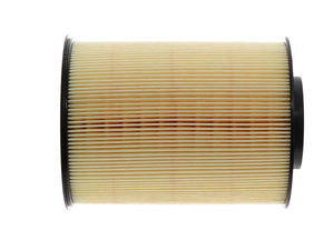 Product of Wix Filters 49017 OEM Disposable Air Filter 