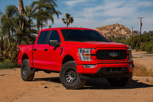 Icon Vehicle Dynamics 91818e Coil Over Shock Absorber||f150_Red_3_Weblarge.Jpg||87||i4391818e||1737665