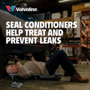 Valvoline 891666 Oil||891664_6.Png||91||v10891666||1772304