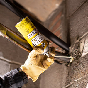 Product of Dap 75650 12506 Foam Sealant