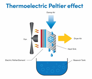 Product of Eva-Dry Edv-1100 Dehumidifier