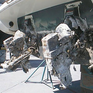 Pro Mariner 22034 Marine Isolation Transformer||22034_R_2.Jpg||87||p4v22034||1046087