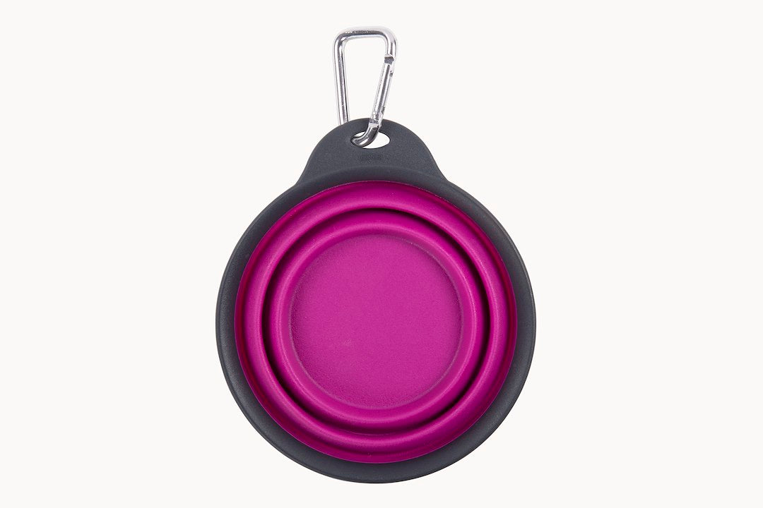 Product of Dexas International Pw2004322405 Pet Dish