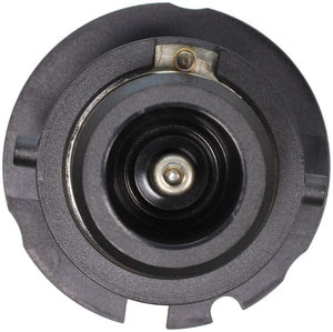 Wagner Lighting D2r Headlight Bulb||d2r_P01_Con.Jpg||93||w31d2r||1257605