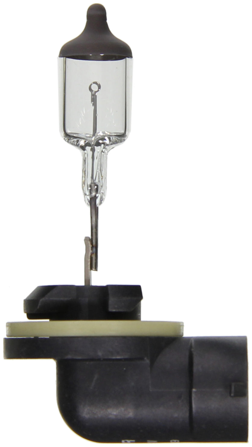 Product of Wagner Lighting Bp896 Driving/ Fog Light Bulb
