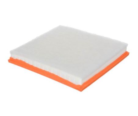 Product of Fram Filter CA10989 Extra Guard® OEM Disposable Air Filter 