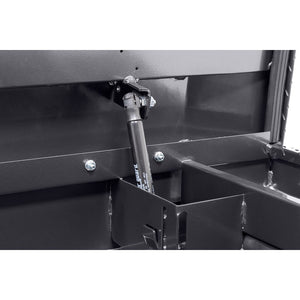 Product of Weather Guard (Werner) 121-6-04 Low Profile Toolbox 