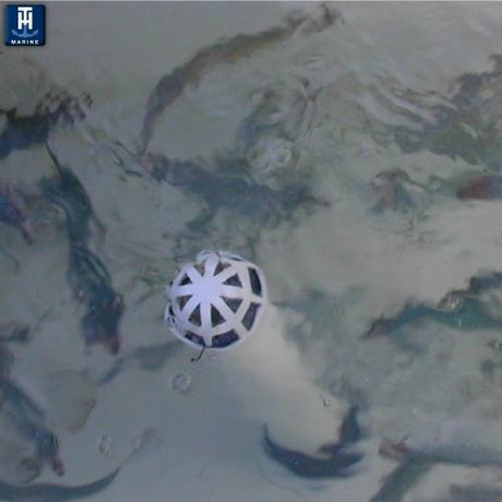 Product of T-H Marine Odt-1-12gstw-Dp Livewell Overflow Tube