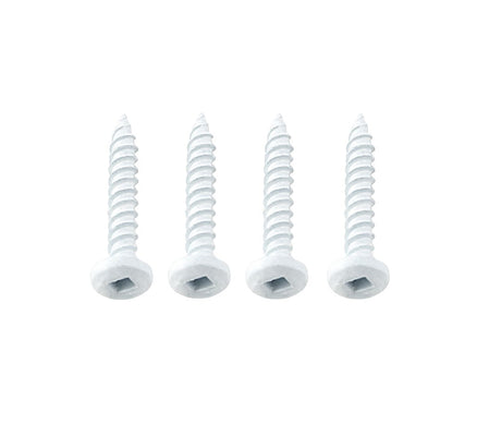 Ap Products 012-Q500w 8 X 1 Screw||012-Q500w 8 X 1.Jpg||85||a1wq500w8x1||969576