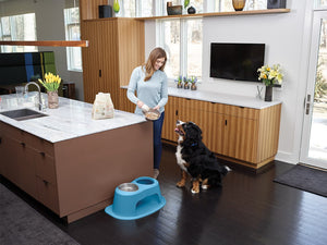 Weathertech (Usa) Dhc3206blbl Pet Dish||dhc3206blbl_Pfs_Print_Kitchen_Lauren_1.Jpg||86||w24hc3206blbl||1505782