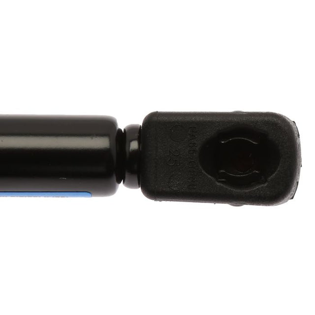 Product of Strong Arms 46914 Hood Oem