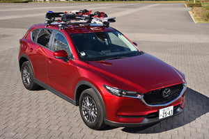 Product of Inno Racks Ina951 Ski Carrier - Roof Rack Kit