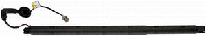 Dorman (Oe Solutions) 747-041 Liftgate Lift Support||747-041_1.Jpg||86||d18747041||1207353