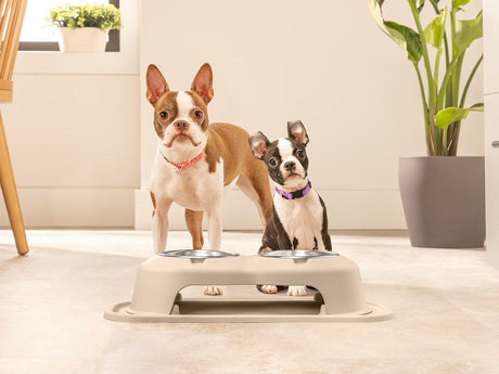 Product of Weathertech (Usa) Dhc3208tntn Pet Dish