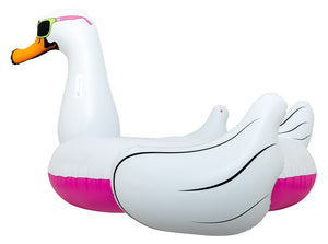 Airhead Ahpf-3018 Float Tube||ahpf-3018_Cool Swan_Studio_Side Left.Jpg||85||a4mahpf3018||1241072